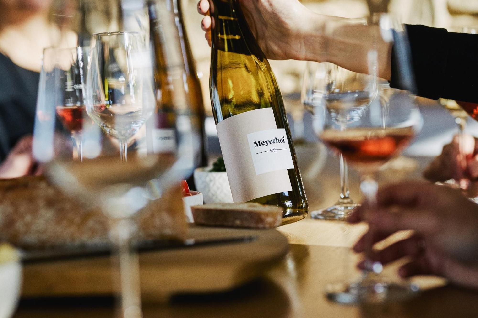 Meyerhof - Bioweingut, Vinothek & Gaestehaus Флонхайм Екстериор снимка