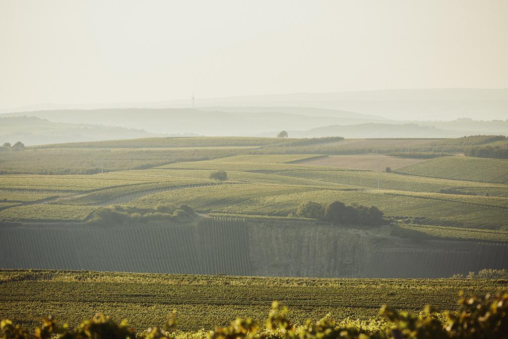 Meyerhof - Bioweingut, Vinothek & Gaestehaus Флонхайм Екстериор снимка