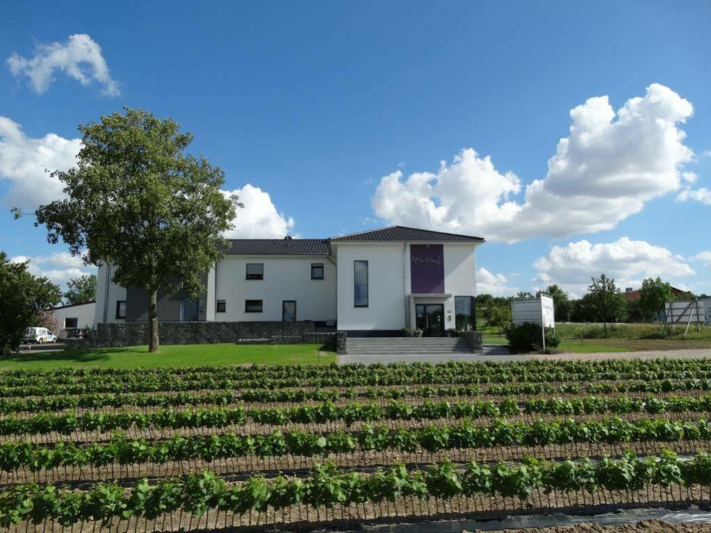 Meyerhof - Bioweingut, Vinothek & Gaestehaus Флонхайм Екстериор снимка
